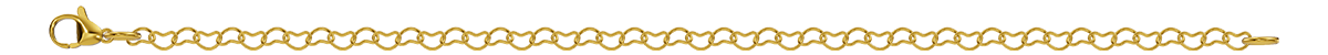BG01