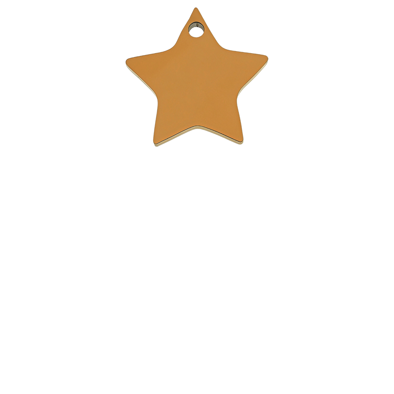 CE13