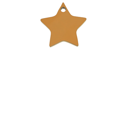 CE13