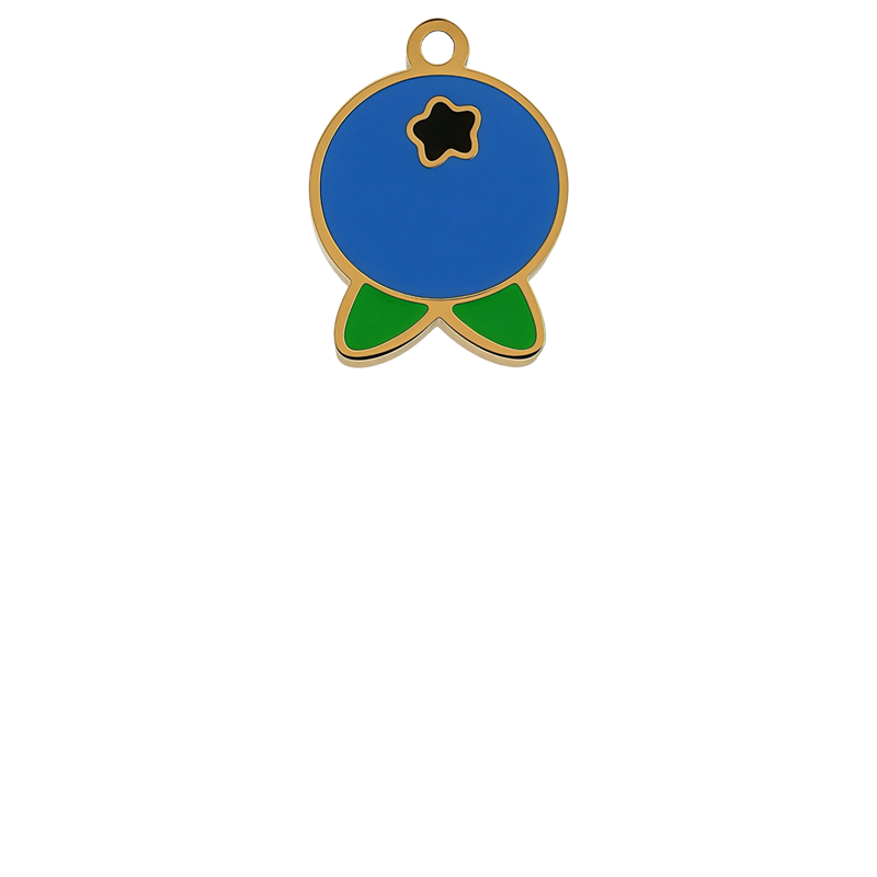FR17