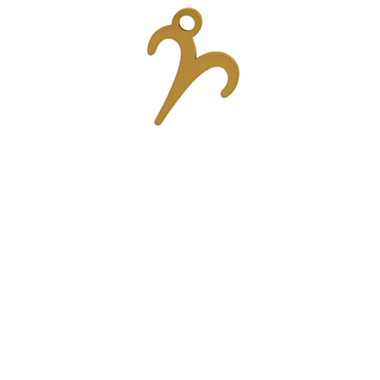 Z01-01